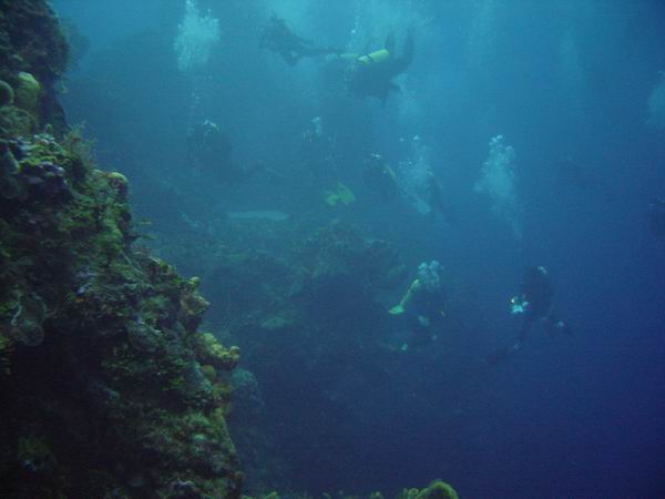 Wall Divers en Mass 1.JPG