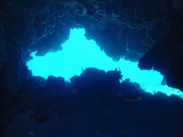 Swim Thru 01.jpg