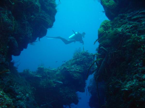 Swim Thru 05.JPG