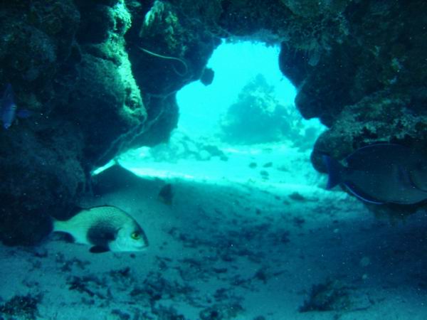Swim Thru 11.JPG