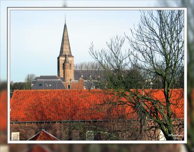 Sunny view from my new attic window