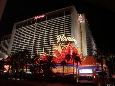 Flamingo Night