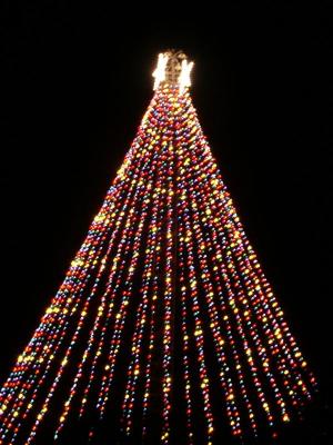 Zilker Park Christmas Tree