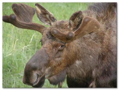 image029.jpg
