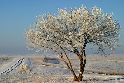 IMG_1815web1.jpg - Original