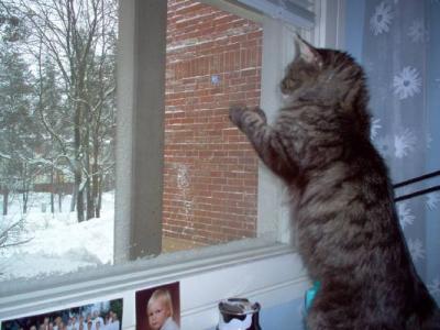 I prefer staying indoors today!