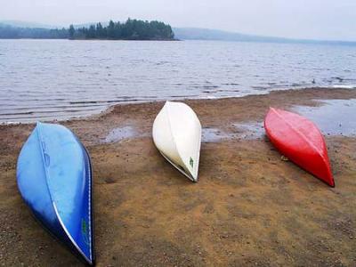 Beached Canoes