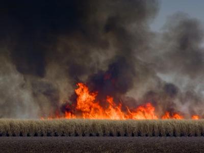 Burning Cane Field2