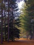 Algonquin Trails Campground