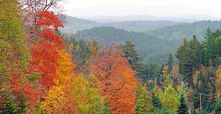 Algonquin Panorama