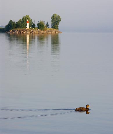 Lighthouse & Duck