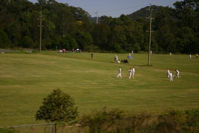 Cricket seen from the train