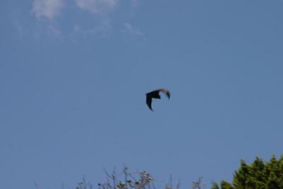u39/mestaben/medium/25745907.IMG_5882.jpg