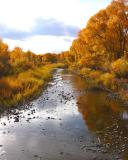 Conejos River