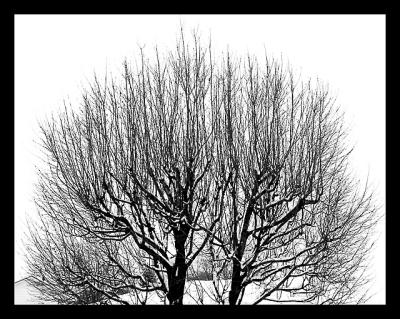 black_and_white_photos