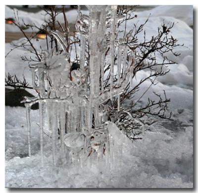 Natures Ice Sculpture