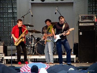 5546-bands-b.jpg