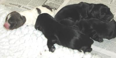 L1 - 1 Feb 0402.JPG