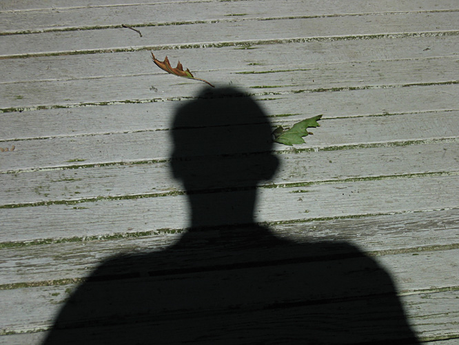 Feathers in my hair?         <br>8115
