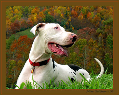 Casper-Fall-Color.jpg
