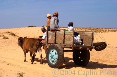 Across the dunes - Mui Ne