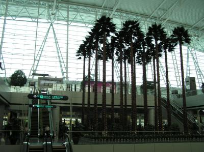 PA100726.JPG