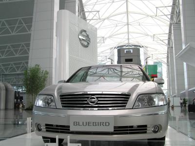 PA100732.JPG