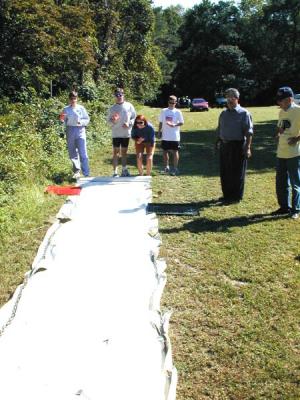 Dseedspit7.jpg