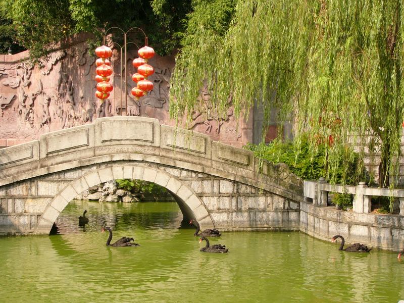 Black swans