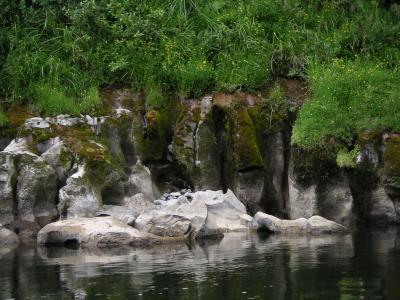 Rock sculpted by the water