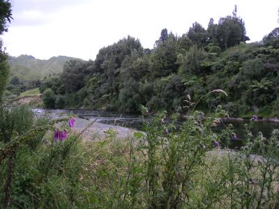 View of the river