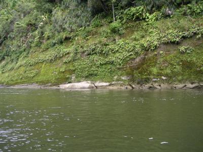 Green gorge walls