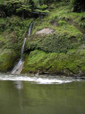 Waterfall & rapid