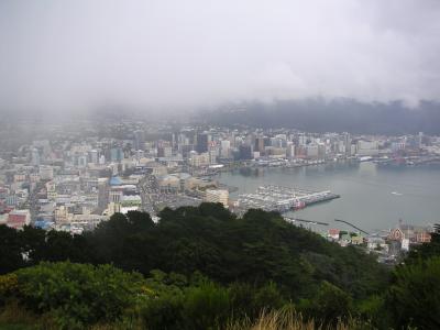 A cloudy view of Welly from...