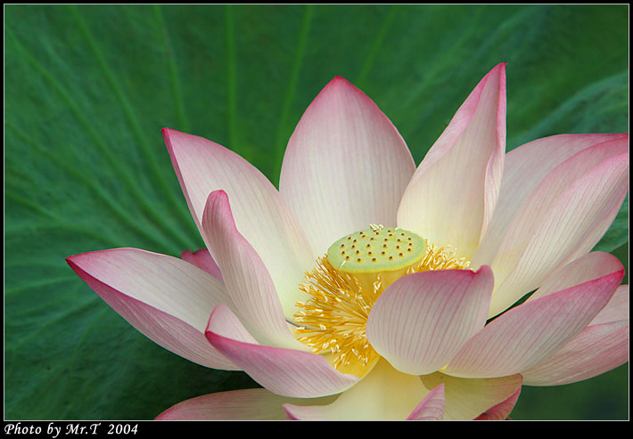 Crop_DSCF3313.jpg