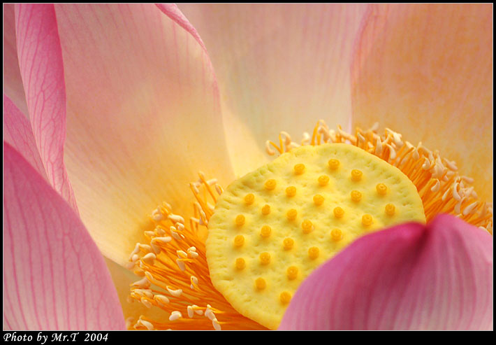 Crop_DSCF3329.jpg