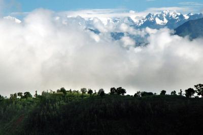 Waking Up in Nepal, Siruwari Balami Gau