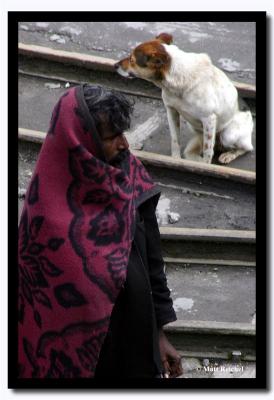 Homeless Pair, Ghoom