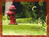 Fire hydrant art.jpg(430)