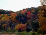 Colour from afar.jpg(145)