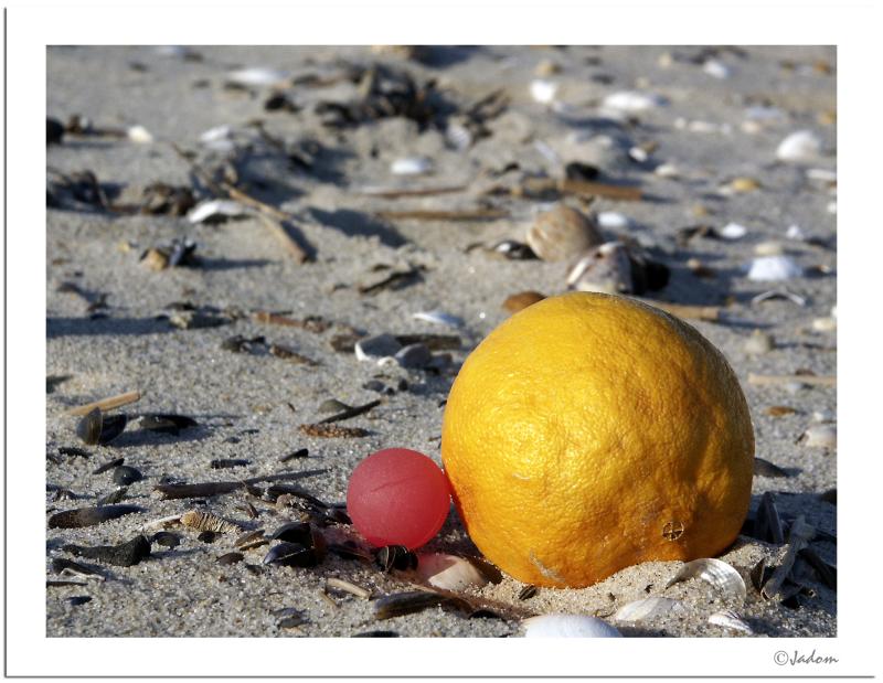4th: Abandoned on a Beach by Jack D.