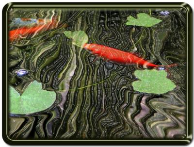 u39/mtf_foto_studies/medium/32397347.PlasticWrappedRipples.jpg