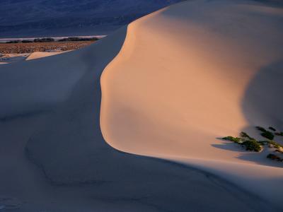 4th: Dune by Xavier Cohen.jpg