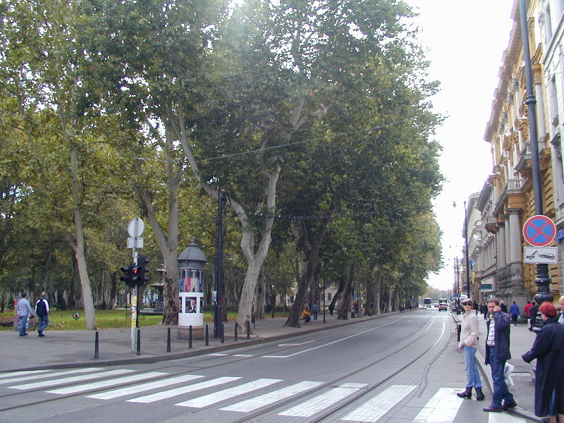 P9282927.JPG