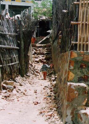 u39/nguyenlang/medium/39405530.vietnam18.jpg