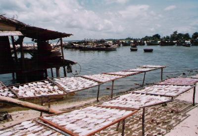 u39/nguyenlang/medium/39406157.vietnam25.jpg