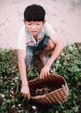 Di Linh.LamDong