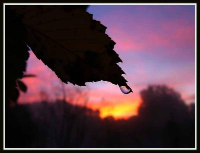 October 14 - Sunrise Dewdrop