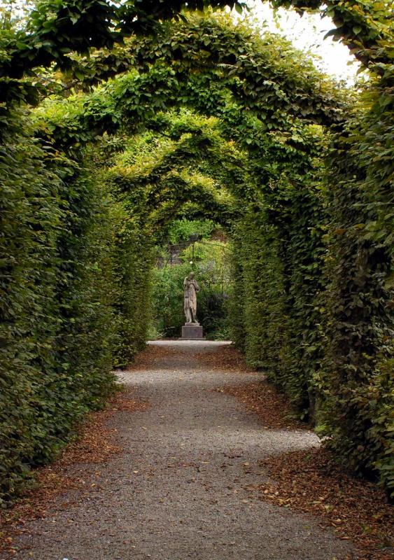 Birr