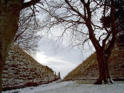 motte and bailey castle